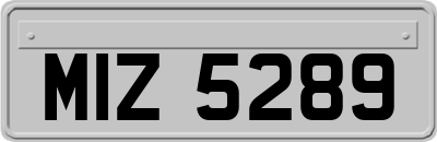 MIZ5289