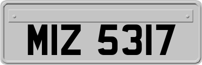 MIZ5317