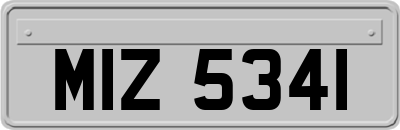 MIZ5341
