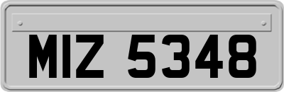 MIZ5348