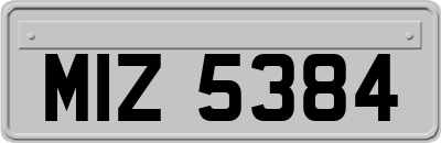 MIZ5384