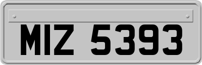 MIZ5393