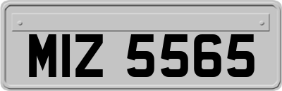 MIZ5565