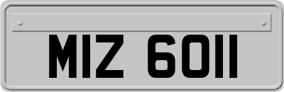 MIZ6011