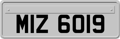 MIZ6019