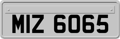 MIZ6065