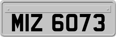 MIZ6073