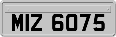 MIZ6075