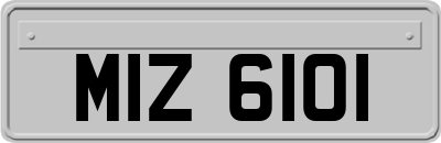 MIZ6101