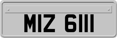 MIZ6111