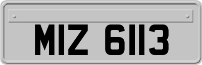 MIZ6113