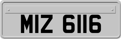 MIZ6116