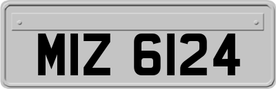 MIZ6124