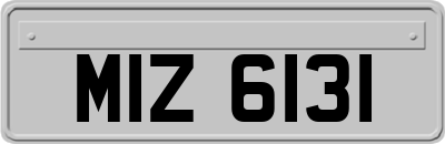 MIZ6131