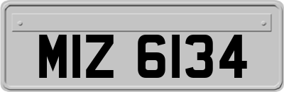 MIZ6134