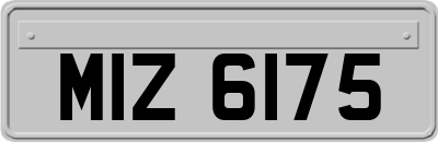 MIZ6175