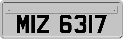 MIZ6317