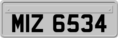 MIZ6534