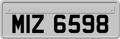 MIZ6598