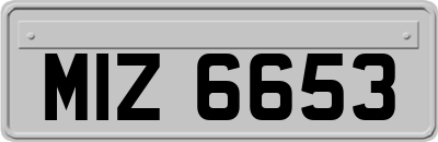 MIZ6653