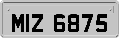 MIZ6875
