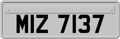 MIZ7137