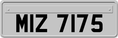 MIZ7175