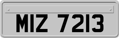 MIZ7213
