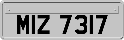 MIZ7317