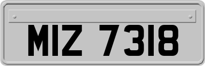 MIZ7318