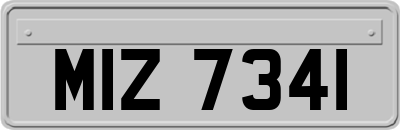 MIZ7341