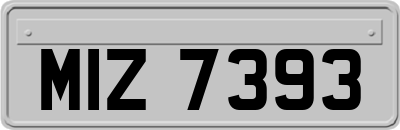 MIZ7393