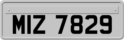 MIZ7829
