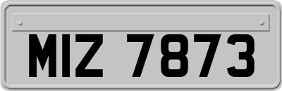 MIZ7873