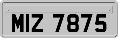 MIZ7875