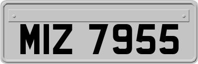 MIZ7955