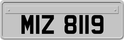 MIZ8119