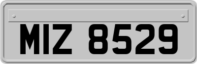 MIZ8529