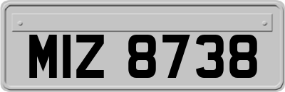 MIZ8738