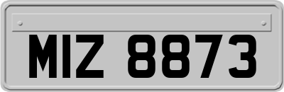 MIZ8873