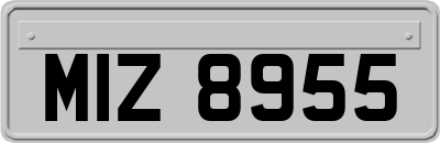MIZ8955