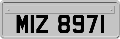 MIZ8971
