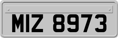 MIZ8973