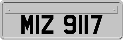 MIZ9117