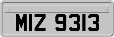 MIZ9313