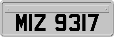 MIZ9317