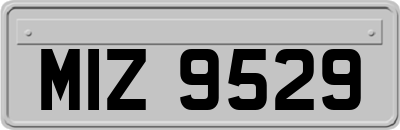 MIZ9529