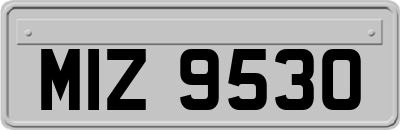 MIZ9530