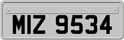 MIZ9534