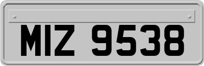 MIZ9538